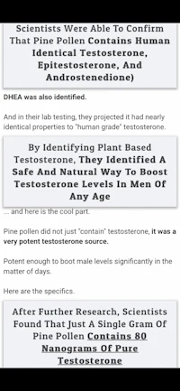 a screenshot of a page with different text on it