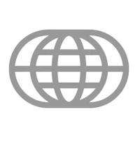 a gray globe icon on a white background