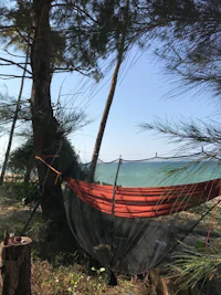 a hammock on the beach next to a tree