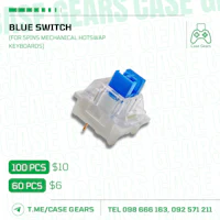 a blue switch for a nintendo ds