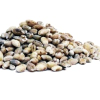 a pile of seeds on a white background