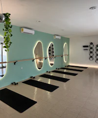 a pilates studio with black and white walls and plants