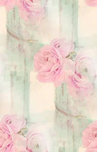 pink roses on a white background