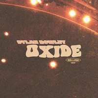 the cover of ulla boley's oxide