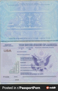 Standard USA Biometric passport 