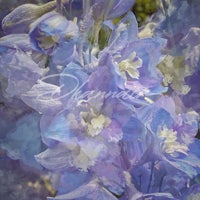 a watercolor painting of blue flowers