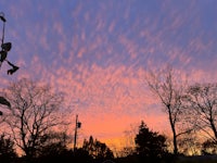 a sunset with a pink sky and trees in the background