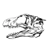 a black and white drawing of a t - rex skull