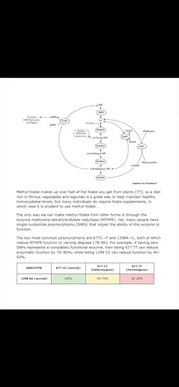 a diagram showing the structure of a protein