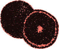 two slices of orange on a red background