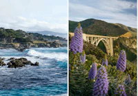 california's california's california's california