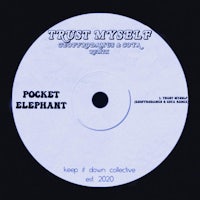 trust yourself - pocket elephant