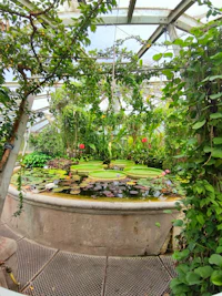 a fish eye view of a greenhouse with a lot of plants