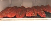 salmon fillets on a cooling rack in a refrigerator