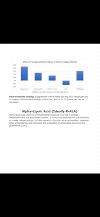 a sample of a business plan for a company