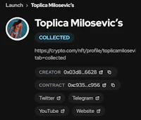 a screenshot of a tumblr account with the name topica miloevi