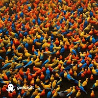 a flock of colorful birds in the water