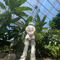 a person standing in a greenhouse