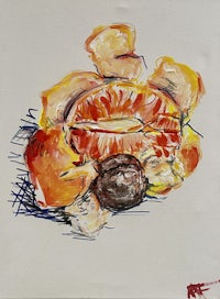 a drawing of a bunch of oranges