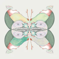 an illustration of a butterfly on a white background