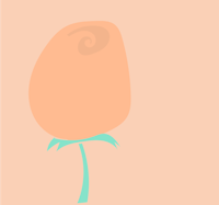 a pink rose on a peach background