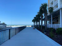 a walkway with palm trees and a view of the ocean
