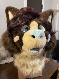 a stuffed cat head on a desk