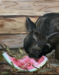 a painting of a pig eating watermelon