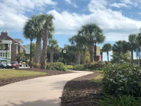 a sidewalk with palm trees and a clock
