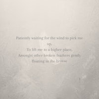 a black and white photo with the words patiently waiting for the wind to pick me up to a higher place