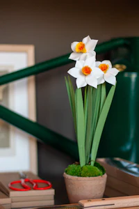 a vase of flowers on a table next to a bicycle
