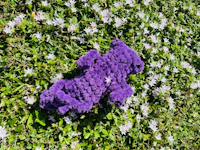 a purple teddy bear laying in the grass