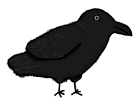 a black crow standing on a white background