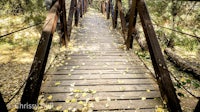 a wooden bridge over a wooded area