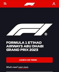 formula l ethad airways abu dhabi grand prix - screenshot