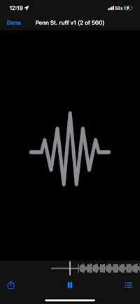 a screenshot of a music player on an iphone