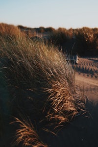 sand dunes with grass in the background