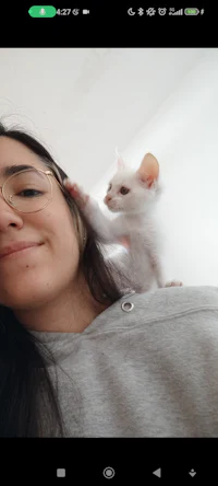 a woman is taking a selfie with a cat on her shoulder