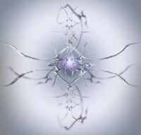 an abstract image of a purple flower