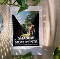 shadow movements book cover on a table next to a plant