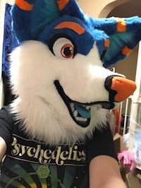 a person wearing a blue and orange fox mascot