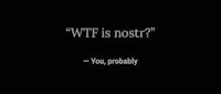 a black background with the words wtf is nostra you probably?
