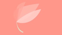 a pink leaf on a pink background