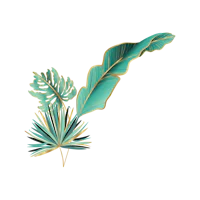 a tropical leaf on a black background