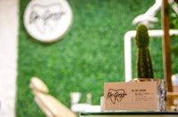 a dentist's office with a cactus on top of it
