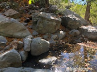 a small stream in a wooded area