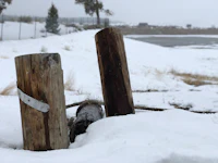 two wooden posts in the snow