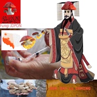 a man in a kimono is holding a mushroom