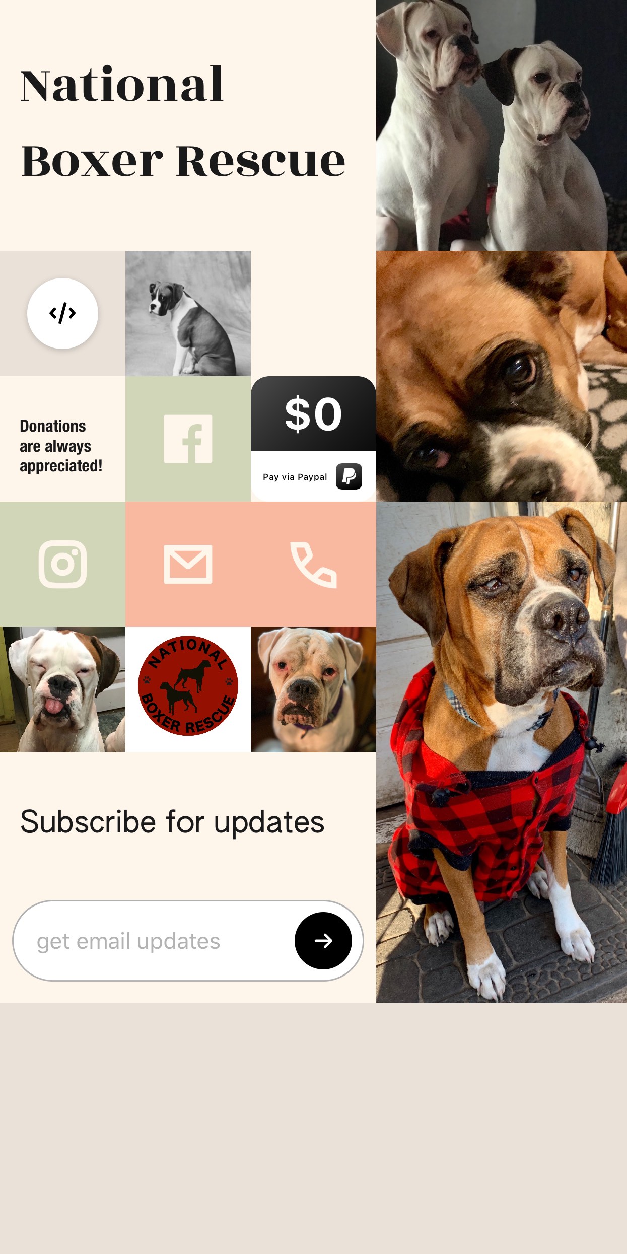 dogue de bordeaux biggest dog