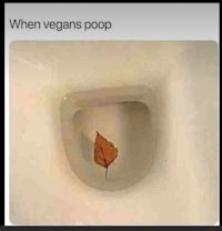 when vegans poop- screenshot